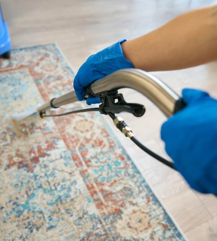 carpet cleaning services