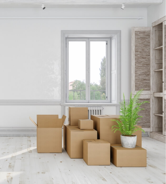 Move out Cleaning Service