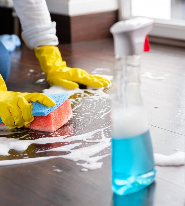 Regular House Cleaning Services